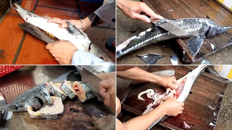 Cách làm lẩu cá tầm chế biến cá tầm